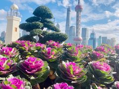 -北外滩滨江绿地