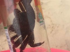 -Sasa的海(蜈支洲岛后海店)
