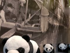 -大丰收脆鱼(万达江北店)