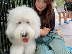 -TrueLove @ Neverland (Husky Cafe)