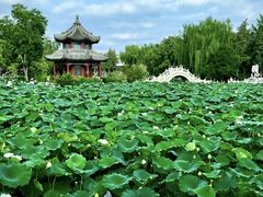 -莲池书院博物馆