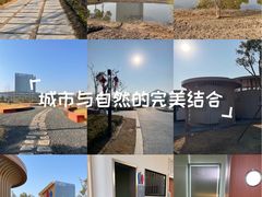 -春花秋色城市公园