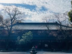 -灵谷景区
