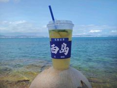 -三亚西岛海洋文化旅游区
