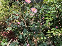 -云庭汇·粤菜海鲜(东盟盛天地店)