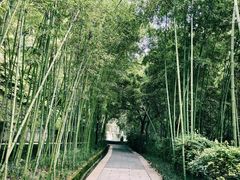 -龙头寺公园