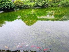 -泸州老窖景区