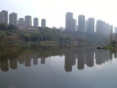 -重庆彩云湖湿地公园