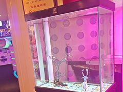 -巴特餐饮6加1音乐餐吧·新疆菜