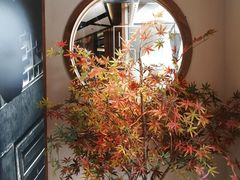 -首秀·四川料理(星耀101店)