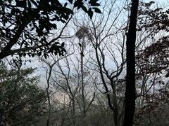 -杭州半山国家森林公园