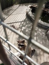 -萌宠亲子动物乐园(槐房万达店)