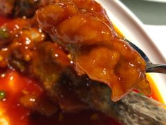 松鼠大桂鱼-绿波廊(豫园店)