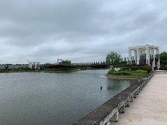 -上海鲜花港