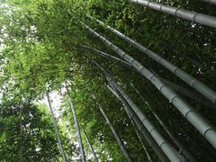 -汇龙潭