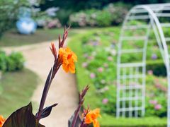 -上海共青森林公园