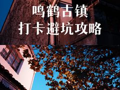 -鸣鹤古镇