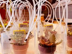 -Catch Bagel(芳草地店)