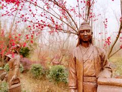 -合肥滨湖国家森林公园