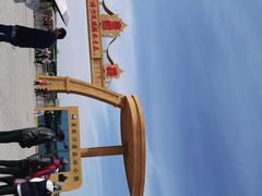 -金塔沙漠胡杨林景区