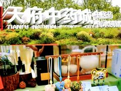 -五凤溪古镇