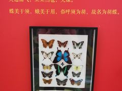 -LuOne凯德晶萃广场(徐家汇路店)