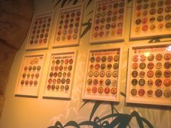 -沈阳海洋探索中心