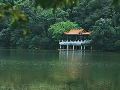 -深圳仙湖植物园