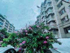 -珍记海鲜粥·海鲜粉