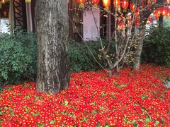 -钦善斋(武侯祠店)