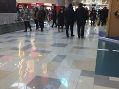 -鹏欣水游城