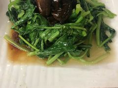 -协和菜馆(凤凰街店)