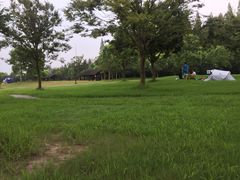 -崇明东平国家森林公园烧烤房车露营地