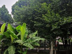 -堤角公园