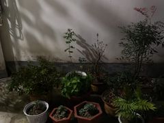 -九华山友谊土菜馆 小资餐厅