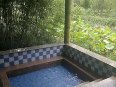 -灵山莲花公园-温泉度假区