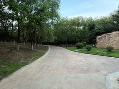 -莫子山公园