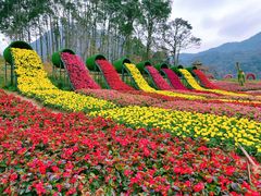 -广州市石门国家森林公园