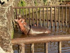 -海南热带野生动植物园