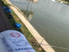 -南湖湿地公园