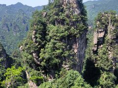 -印象鲵宴·张家界地标美食名片(溪布街店)