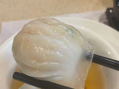 金牌虾饺皇-点都德(汇盈广场店)