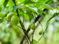 -长兴太湖图影湿地文化园