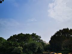 -晓港公园