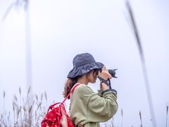 -东白山