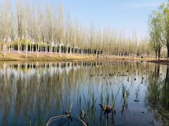 -东郊湿地公园