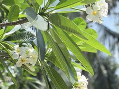 -富国岛翡翠湾 JW 万豪度假酒店