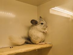 -龙猫仔乐园(惠福东路店)