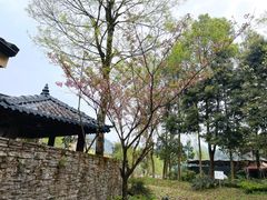 -中铁花水湾温泉酒店(大邑店)