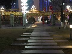 -重庆市江北嘴中央商务区中央公园